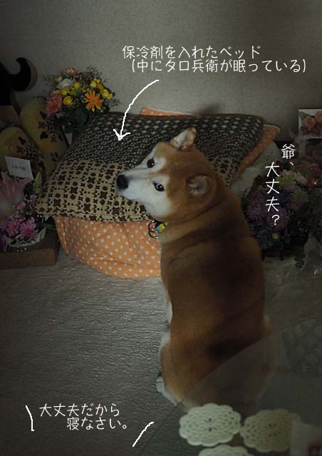19日ブログ4