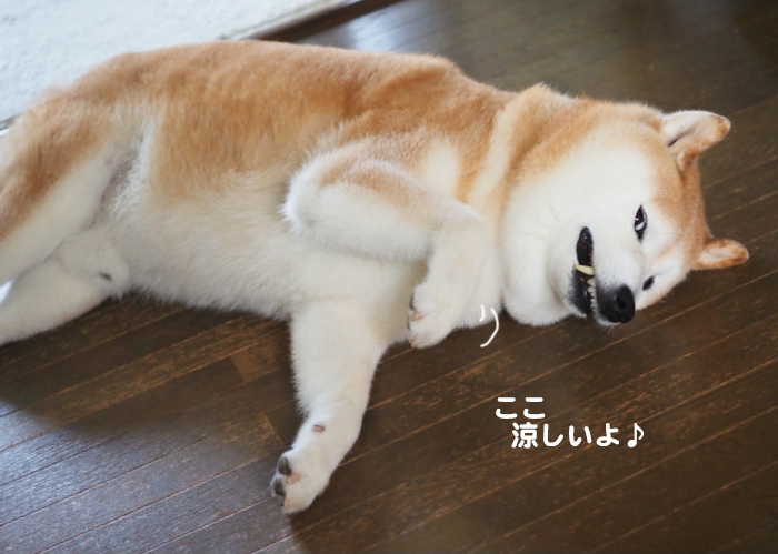 30日夕ブログ２