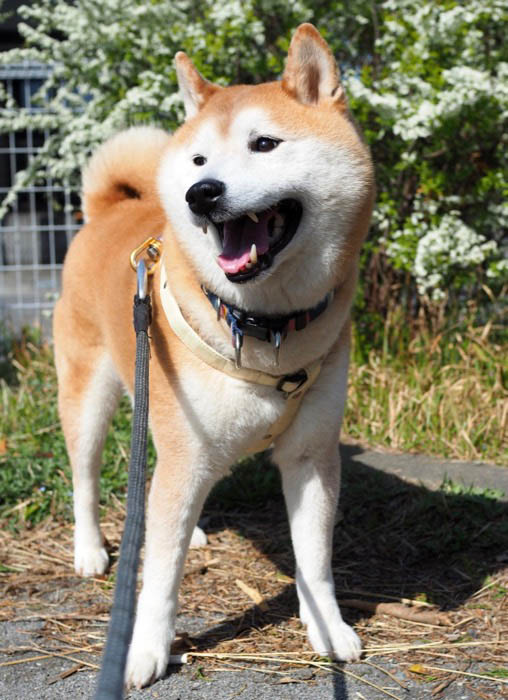 23日午後ブログ３
