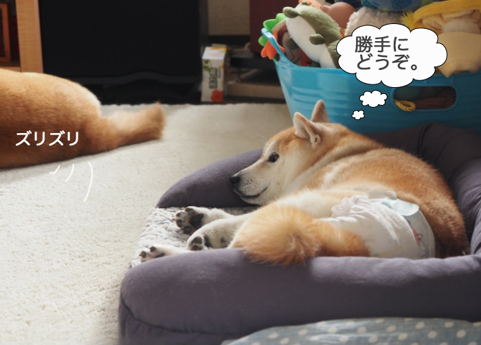 16日ブログ１２