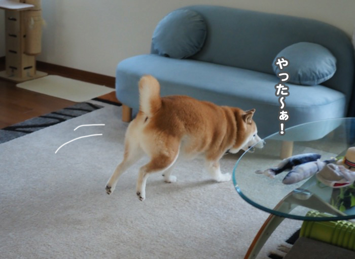 19日ブログ２