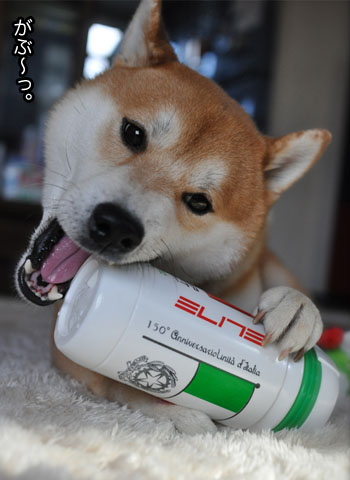 14日ブログ6.jpg