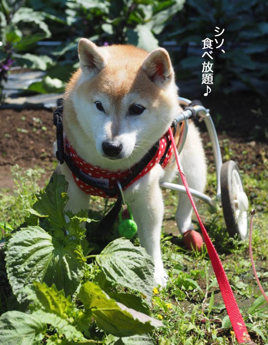 25日夜ブログ8
