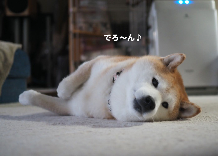 22日夕ブログ２