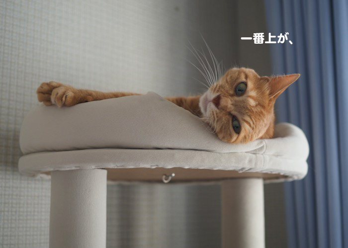 18日夕ブログ５