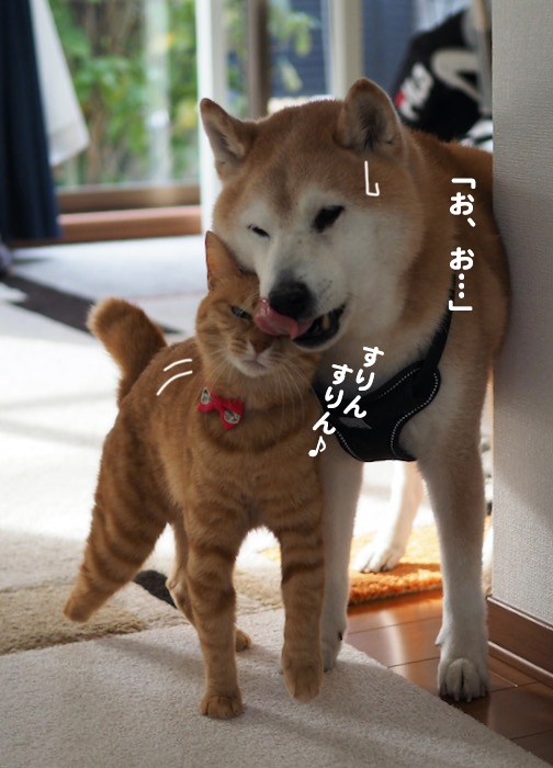 15日夕ブログ５