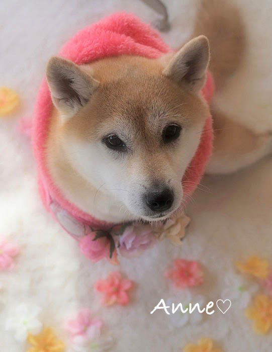 28日ブログ2