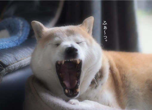 28日ブログ3.jpg