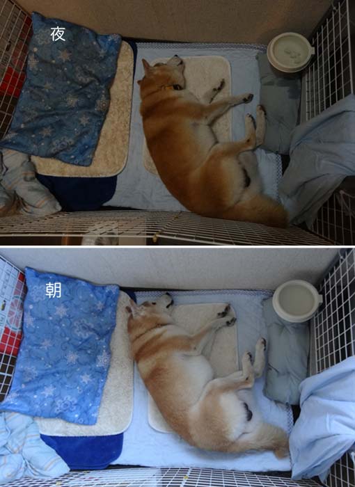 16日ブログ6.jpg