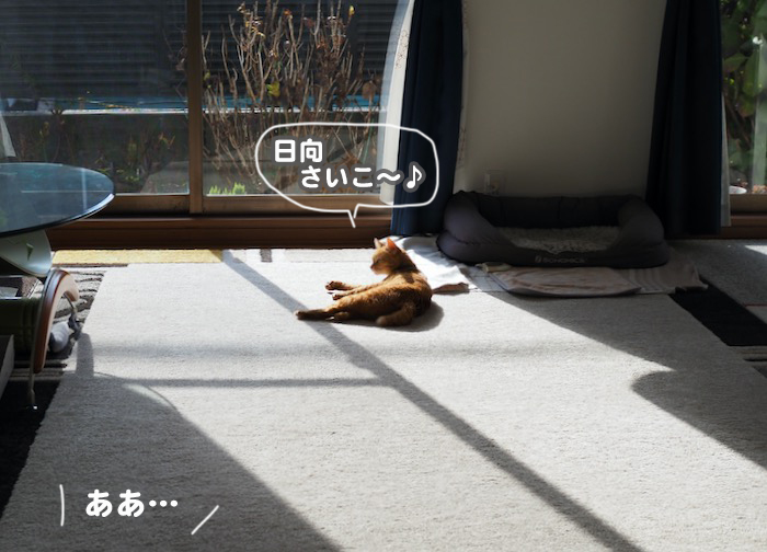 10日夕ブログ４
