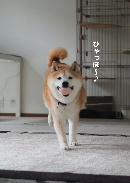 16日夕ブログ８