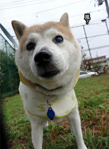 20日ブログ9.jpg