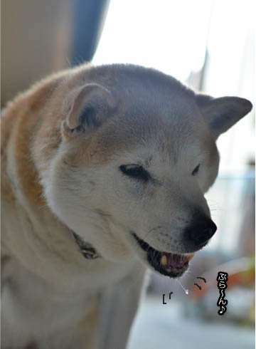 30日ブログ11.jpg