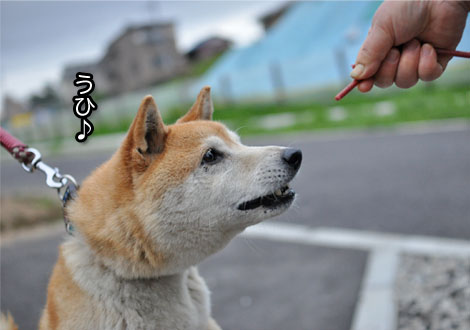 29日ブログ19.jpg