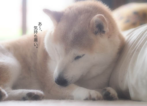 24日ブログ2.jpg