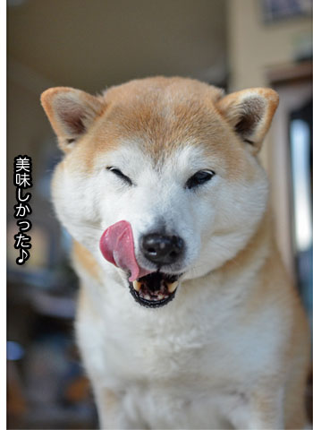 9日ブログ7.jpg