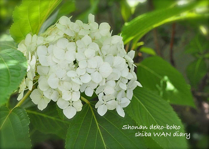 14日午後ブログ１