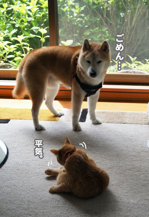 15日夕ブログ25