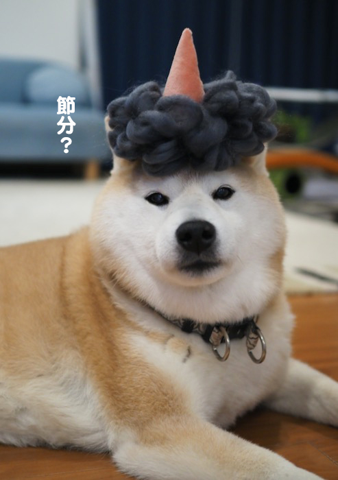 2日ブログ２