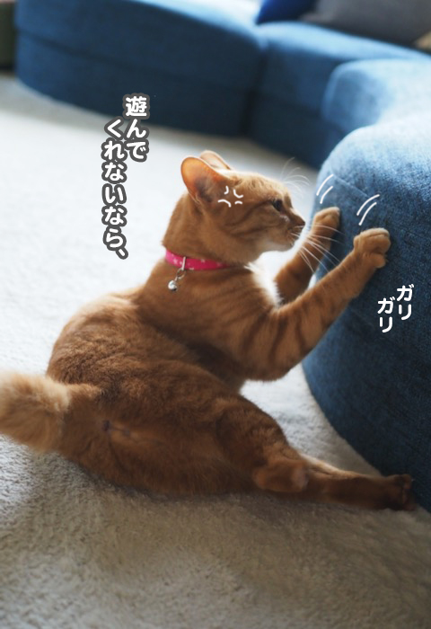 16日夕ブログ３