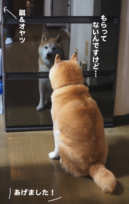 17日ブログ２