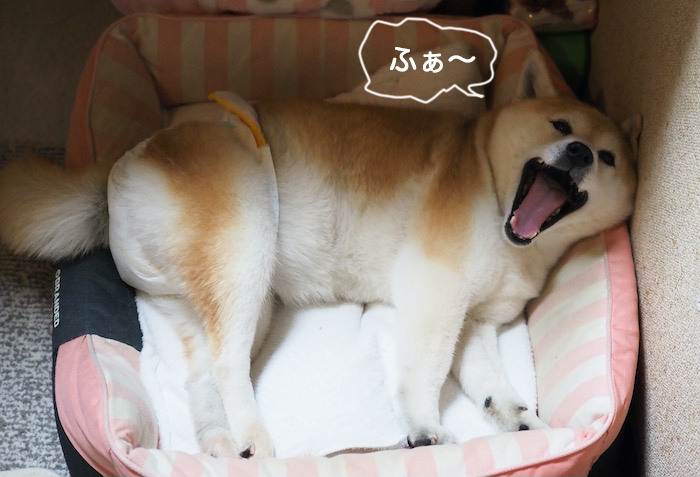 15日ブログ３