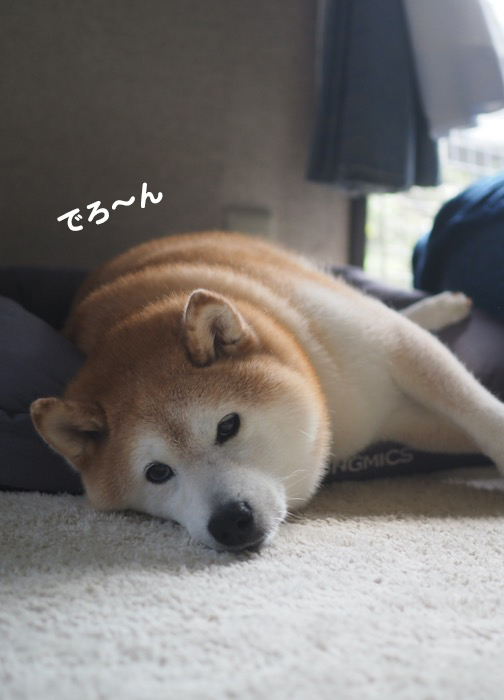 27日ブログ２
