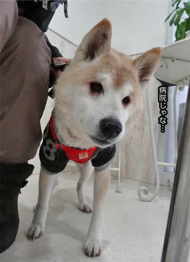 1日ブログ４.jpg