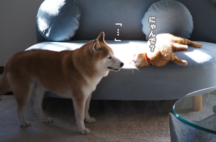 28日夕ブログ８