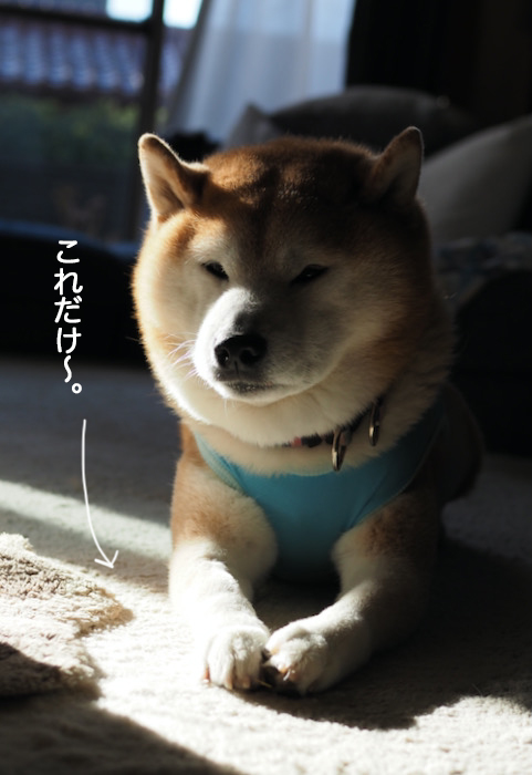 16日ブログ５