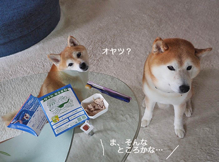 10日夜ブログ２
