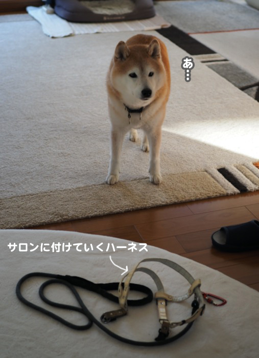 10日夕ブログ２
