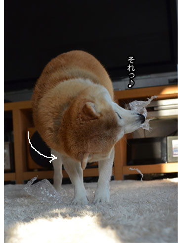 23日ブログ3.jpg