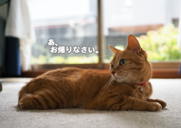 13日ブログ２