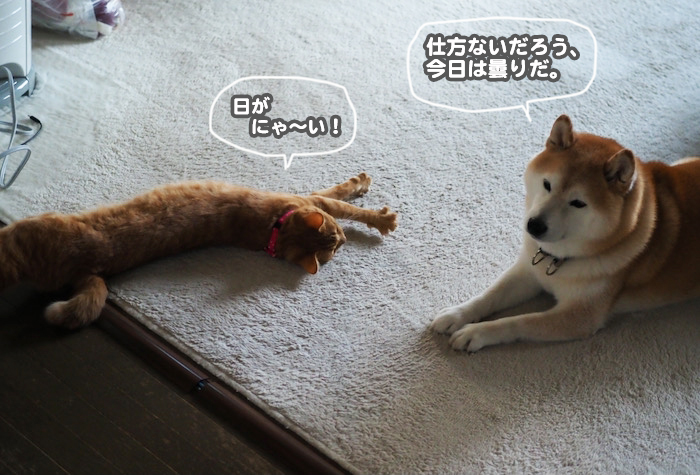 29日ブログ4