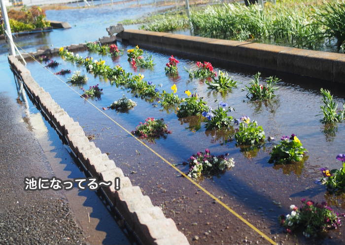 1日昼ブログ３