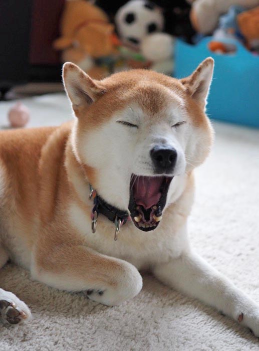 3日ブログ５