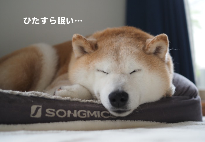 10日ブログ６
