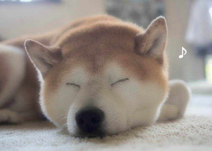 16日ブログ３