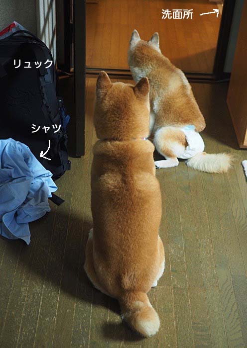 13日ブログ１