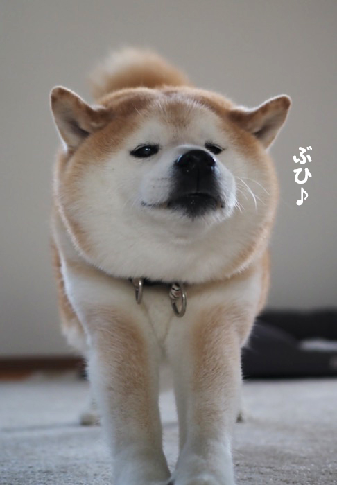 16日ブログ２