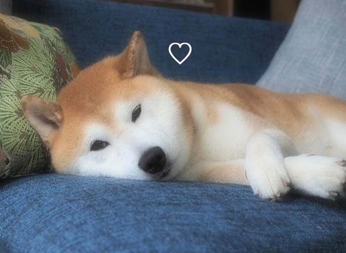 6日夜ブログ４