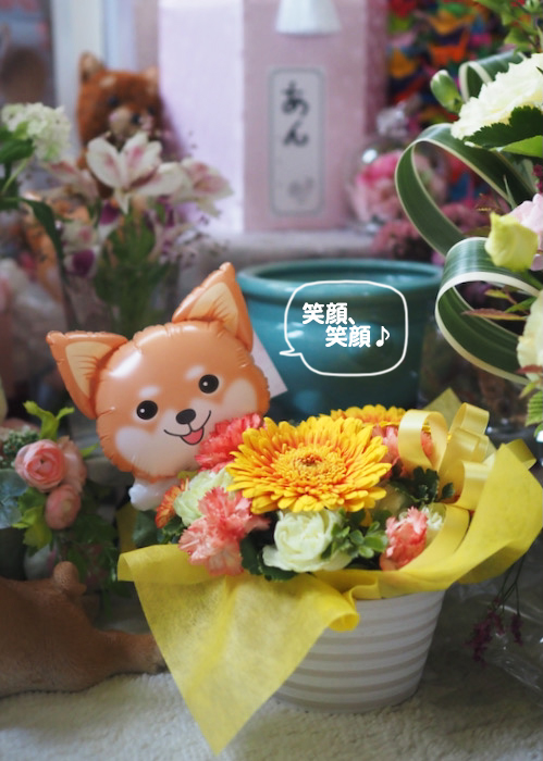27日ブログ２