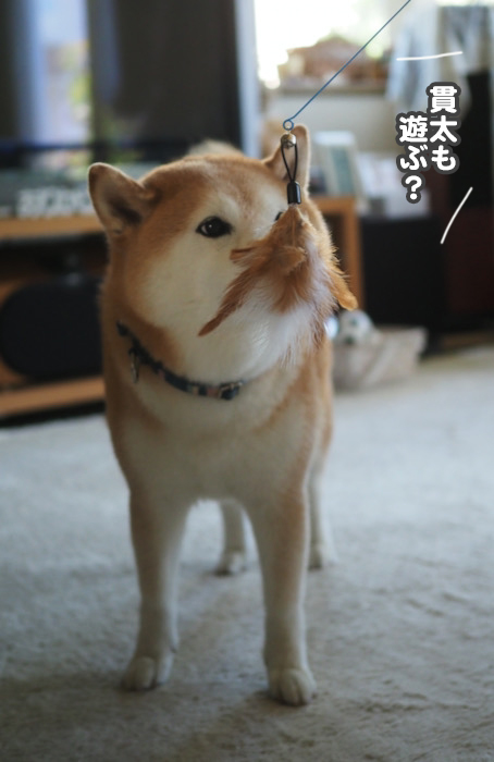 21日夕ブログ１０