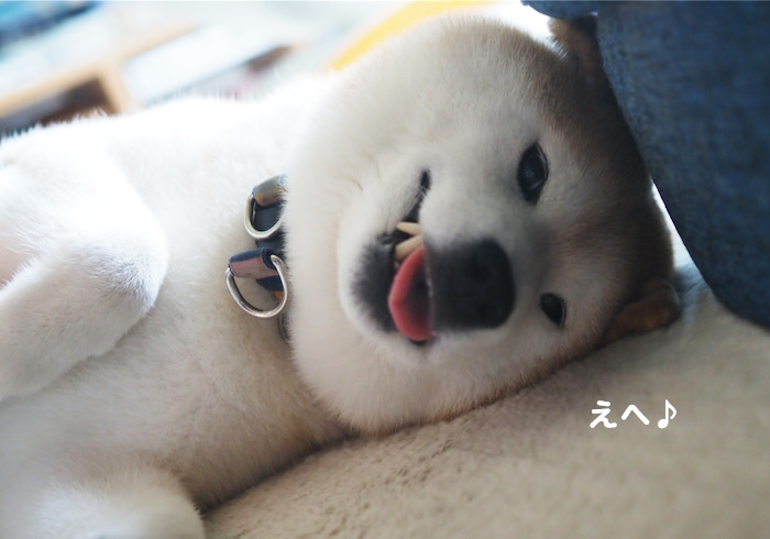 2日ブログ３