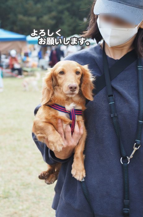 15日夕ブログ15