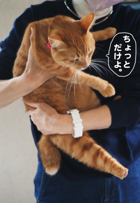 25日夕ブログ４