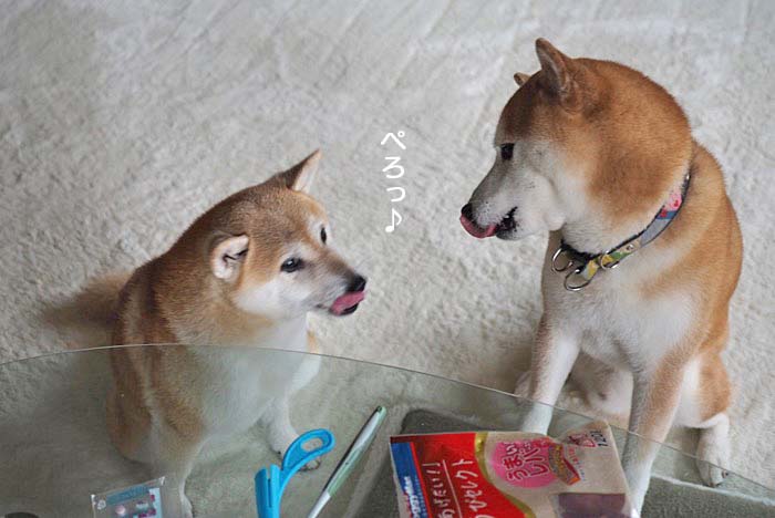 17日ブログ３