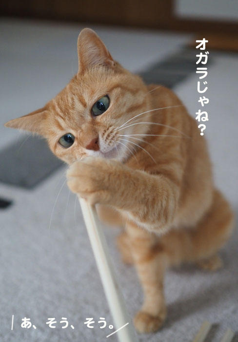 15日夕ブログ4