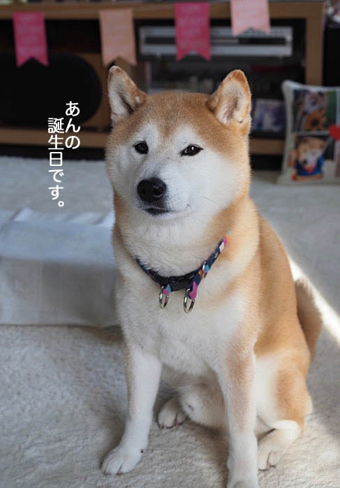3日午後ブログ４